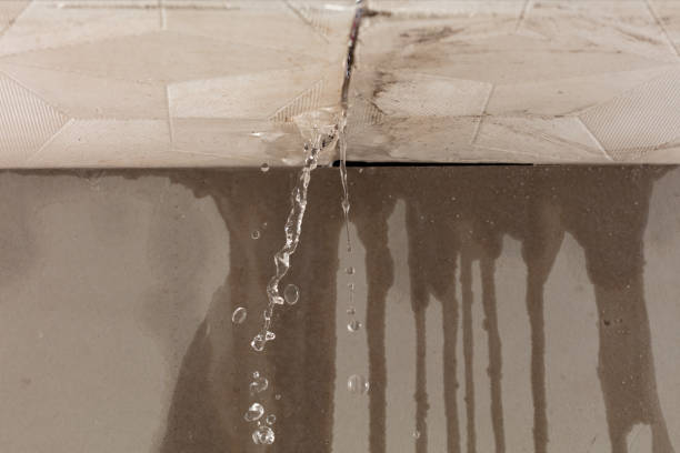 Professional Structural Drying technician working in Truckee, CA